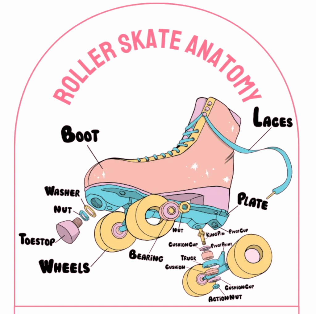 Roller Skate Anatomy. A break down of skate parts with all components labelled. Full text details later on page. 